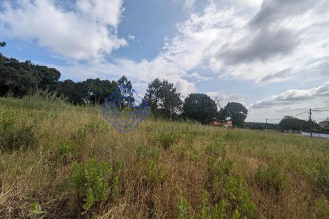 Helårsgrund i Obidos, Leiria, Obidos - € 195.000 | Ref: 184721 - foto 2