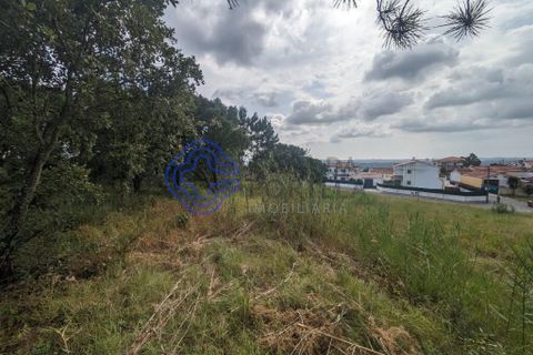 Helårsgrund i Obidos, Leiria, Obidos - € 195.000 | Ref: 184721 - foto 4