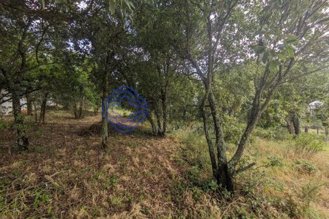 Helårsgrund i Obidos, Leiria, Obidos - € 195.000 | Ref: 184721 - foto 5
