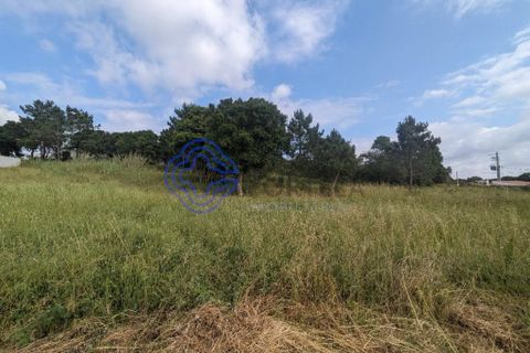 Helårsgrund i Obidos, Leiria, Obidos - € 195.000 | Ref: 184721 - foto 14