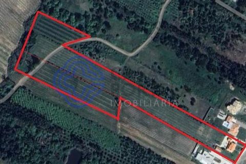 Byhus i Bombarral, Leiria, Bombarral - € 455.000 | Ref: 186771 - foto 37