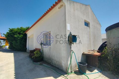 Byhus i Bombarral, Leiria, Bombarral - € 455.000 | Ref: 186771 - foto 38