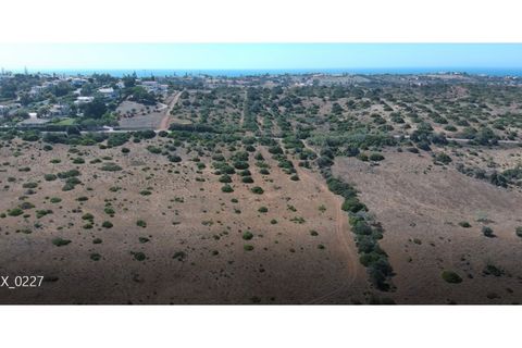 Farm i Luz, Faro, Luz - € 1.150.000 | Ref: 10386 - foto 6