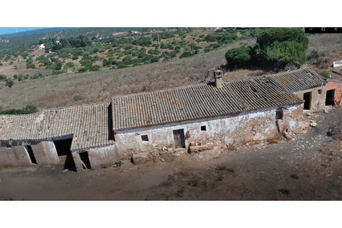 Farm i Luz, Faro, Luz - € 1.150.000 | Ref: 10386 - foto 14