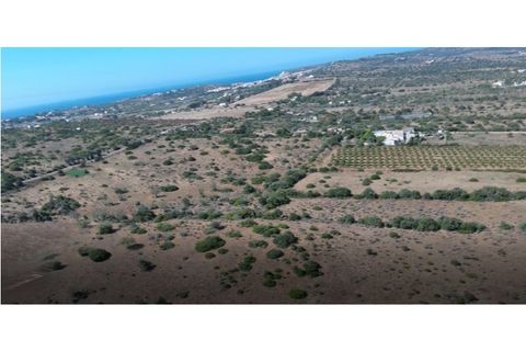 Farm i Luz, Faro, Luz - € 1.150.000 | Ref: 10386 - foto 17