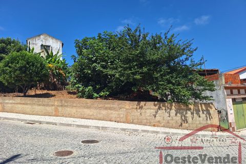 Garage i Cadaval, Lisbon, Cadaval - € 48.500 | Ref: 021-2024 - foto 9
