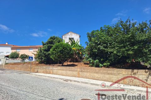 Garage i Cadaval, Lisbon, Cadaval - € 48.500 | Ref: 021-2024 - foto 10