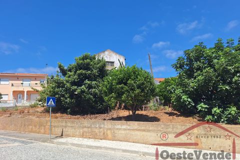 Garage i Cadaval, Lisbon, Cadaval - € 48.500 | Ref: 021-2024 - foto 12