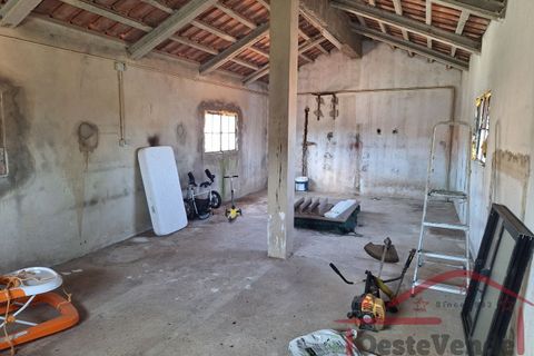 Garage i Cadaval, Lisbon, Cadaval - € 48.500 | Ref: 021-2024 - foto 13