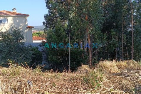 Helårsgrund i Leiria, Leiria, Leiria - € 60.000 | Ref: ANG1192 - foto 1