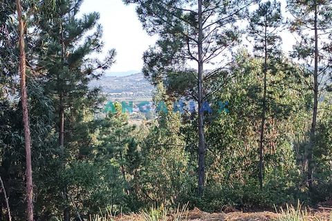 Helårsgrund i Leiria, Leiria, Leiria - € 60.000 | Ref: ANG1192 - foto 3