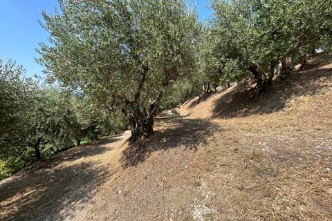 Terra a Tregnago, Verona, Tregnago - € 200.000 | Ref: 2141 - foto 5