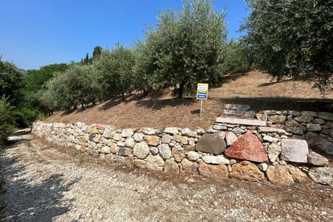 Terra a Tregnago, Verona, Tregnago - € 200.000 | Ref: 2141 - foto 6