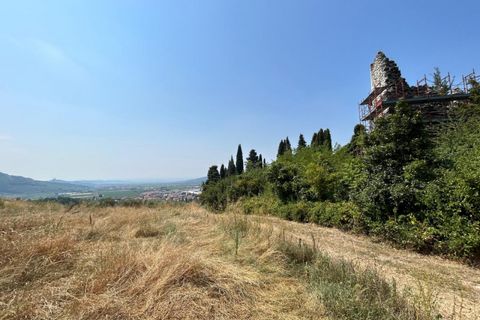 Terra a Tregnago, Verona, Tregnago - € 200.000 | Ref: 2141 - foto 9