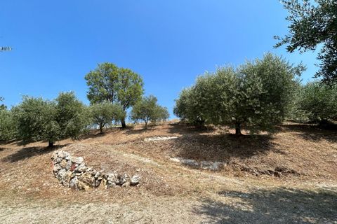 Terra a Tregnago, Verona, Tregnago - € 200.000 | Ref: 2141 - foto 10