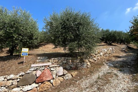 Terra a Tregnago, Verona, Tregnago - € 200.000 | Ref: 2141 - foto 14