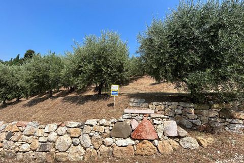 Terra a Tregnago, Verona, Tregnago - € 200.000 | Ref: 2141 - foto 15