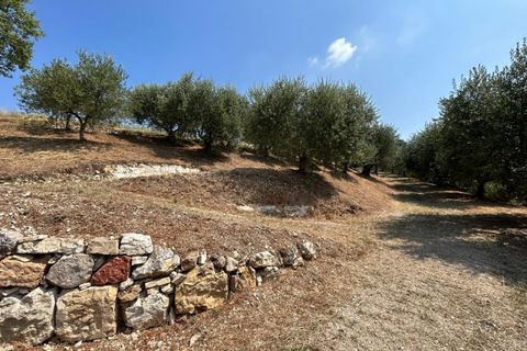 Terra a Tregnago, Verona, Tregnago - € 200.000 | Ref: 2141 - foto 16
