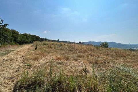 Terra a Tregnago, Verona, Tregnago - € 200.000 | Ref: 2141 - foto 19