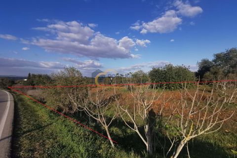 Helårsgrund i Albufeira, Faro, Albufeira - € 80.000 | Ref: HC106 - foto 2