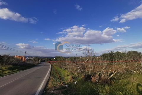 Helårsgrund i Albufeira, Faro, Albufeira - € 80.000 | Ref: HC106 - foto 6