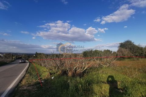 Helårsgrund i Albufeira, Faro, Albufeira - € 80.000 | Ref: HC106 - foto 9