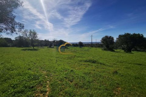 Helårsgrund i Tavira, Faro, Tavira - € 135.000 | Ref: HC124 - foto 6