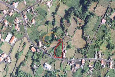 Helårsgrund i Lajes do Pico, Pico, Lajes do Pico - € 77.000 | Ref: HC126 - foto 5