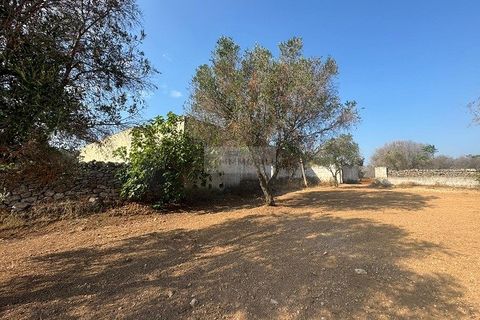 Farm i Carovigno, Brindisi, Carovigno - € 650.000 | Ref: ma3 farm - foto 33