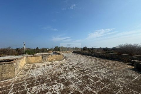 Farm i Carovigno, Brindisi, Carovigno - € 650.000 | Ref: ma3 farm - foto 31