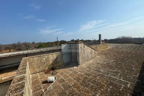 Farm i Carovigno, Brindisi, Carovigno - € 650.000 | Ref: ma3 farm - foto 26