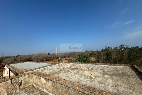 Farm i Carovigno, Brindisi, Carovigno - € 650.000 | Ref: ma3 farm - foto 30