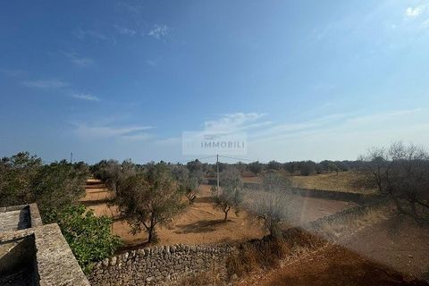 Farm i Carovigno, Brindisi, Carovigno - € 650.000 | Ref: ma3 farm - foto 34