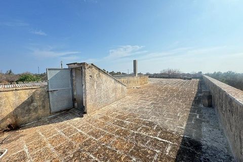 Farm i Carovigno, Brindisi, Carovigno - € 650.000 | Ref: ma3 farm - foto 27