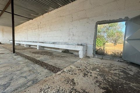 Farm i Carovigno, Brindisi, Carovigno - € 650.000 | Ref: ma3 farm - foto 9