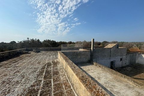Farm i Carovigno, Brindisi, Carovigno - € 650.000 | Ref: ma3 farm - foto 2