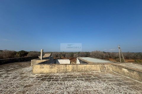 Farm i Carovigno, Brindisi, Carovigno - € 650.000 | Ref: ma3 farm - foto 28