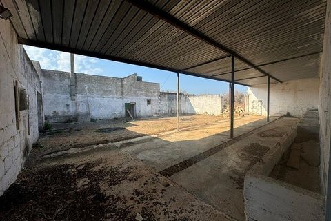 Farm i Carovigno, Brindisi, Carovigno - € 650.000 | Ref: ma3 farm - foto 10