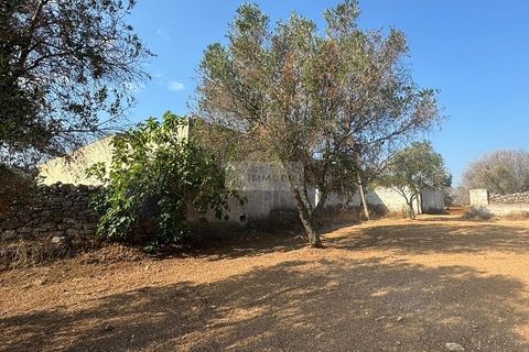 Farm i Carovigno, Brindisi, Carovigno - € 650.000 | Ref: ma3 farm - foto 7