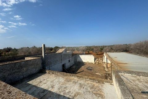 Farm i Carovigno, Brindisi, Carovigno - € 650.000 | Ref: ma3 farm - foto 1