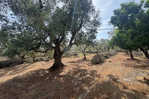 Villa a Carovigno, Brindisi, Carovigno - € 163.000 | Ref: vr1 - foto 12