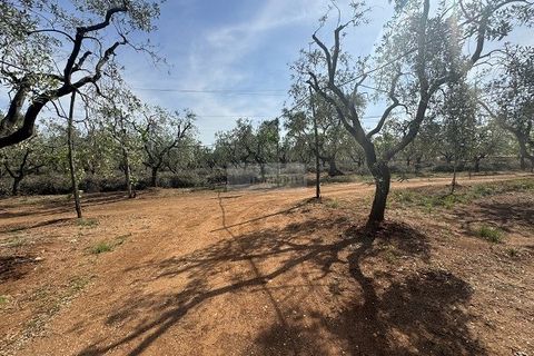 Villa a Carovigno, Brindisi, Carovigno - € 163.000 | Ref: vr1 - foto 11