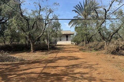 Villa a Carovigno, Brindisi, Carovigno - € 163.000 | Ref: vr1 - foto 2
