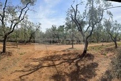 Villa a Carovigno, Brindisi, Carovigno - € 163.000 | Ref: vr1 - foto 13