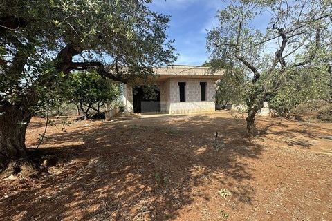 Villa a Carovigno, Brindisi, Carovigno - € 163.000 | Ref: vr1 - foto 15