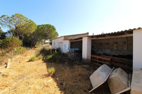 Villa i Silves, Faro, Silves - € 849.500 | Ref: M769 - foto 11