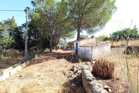 Villa i Silves, Faro, Silves - € 849.500 | Ref: M769 - foto 13