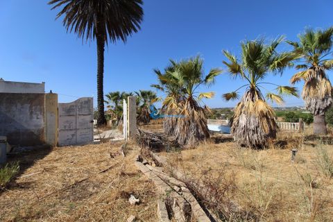 Villa i Silves, Faro, Silves - € 849.500 | Ref: M769 - foto 14