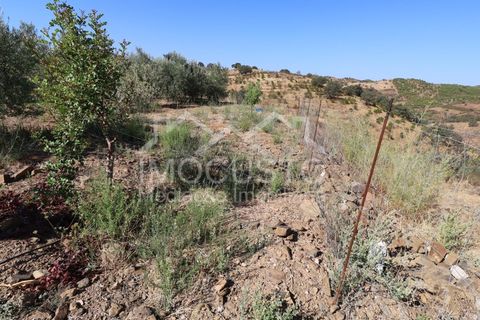 Terra a Odeleite, Faro, Odeleite - € 20.000 | Ref: 239 - foto 4