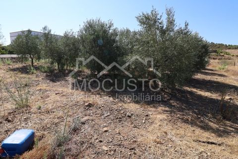 Terra a Odeleite, Faro, Odeleite - € 20.000 | Ref: 239 - foto 7